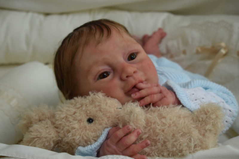 Bebes reborns de silicona