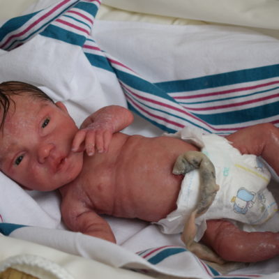 Kelly Awake Premature Edition