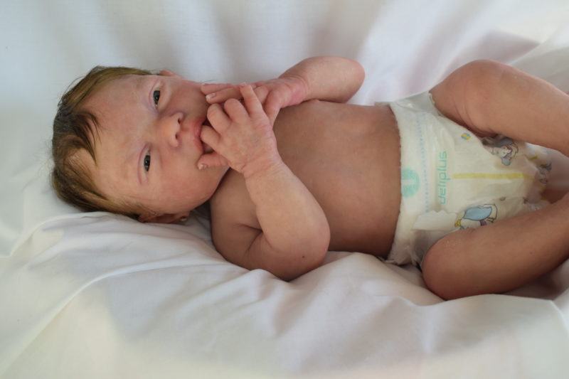 Bebes reborns de silicona