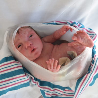 Kelly despierto edición prematuro