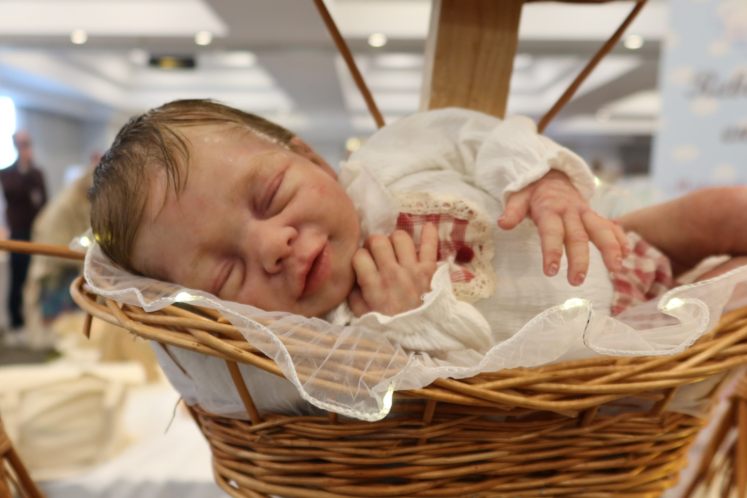 Bebes reborns de silicona Bebes reborns de silicona