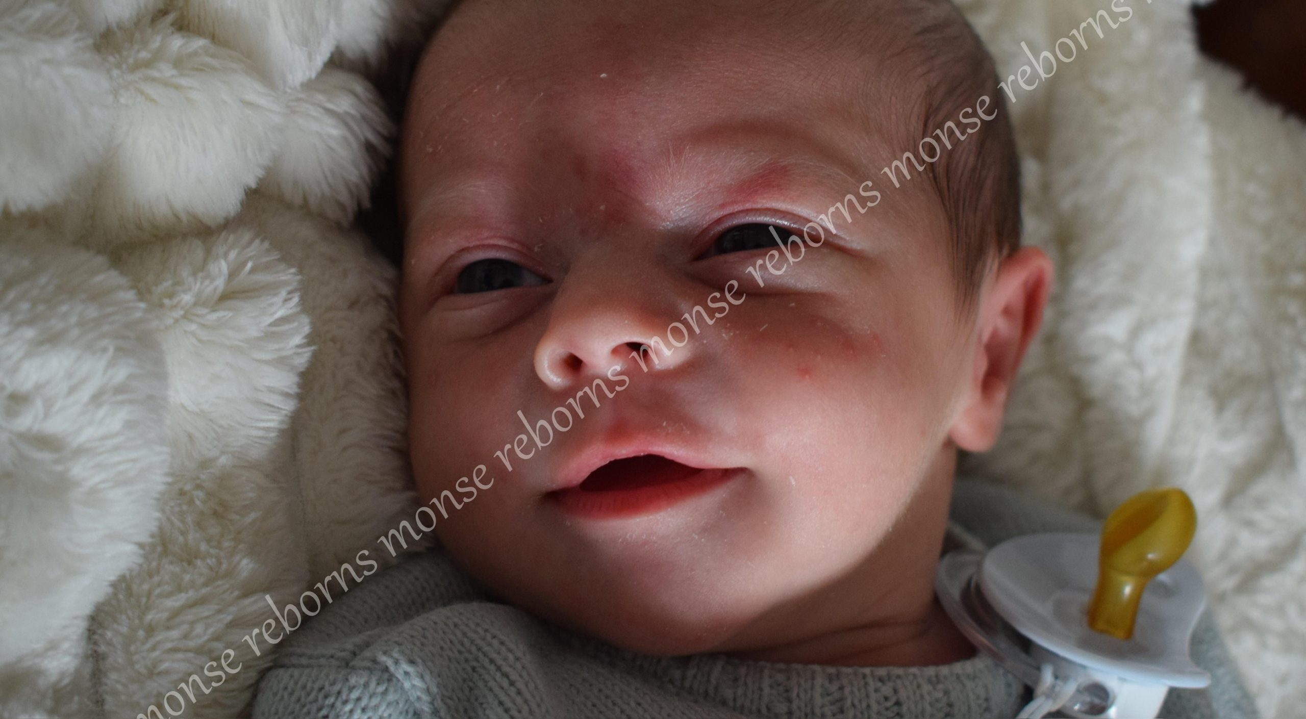 Bebes reborns de silicona